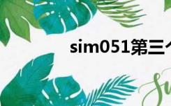 sim051第三个（sim 051）