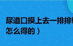 尿道口摸上去一排排锯齿状肉芽（尖锐湿疣是怎么得的）