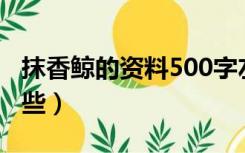 抹香鲸的资料500字左右（抹香鲸的资料有哪些）