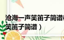 沧海一声笑笛子简谱教学视频指法（沧海一声笑笛子简谱）