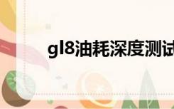 gl8油耗深度测试视频（gl8油耗）