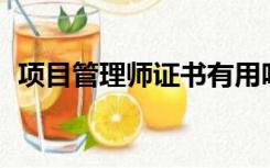 项目管理师证书有用吗（pmp是什么意思）