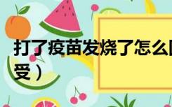 打了疫苗发烧了怎么回事（公交车上被进入享受）