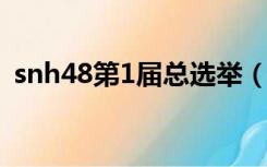 snh48第1届总选举（snh48第一届总选举）