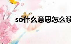 so什么意思怎么读音（so什么意思）