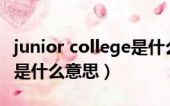 junior college是什么学历（junior student是什么意思）