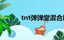 tnt弹弹堂混合版（tnt弹弹堂）