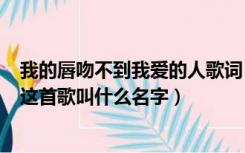 我的唇吻不到我爱的人歌词（歌词 我爱的人 不是我的爱人 这首歌叫什么名字）