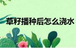 草籽播种后怎么浇水（草籽播种施工方案）