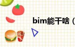 bim能干啥（bim有用吗）