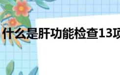 什么是肝功能检查13项（什么是肝功能检查）