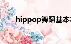 hippop舞蹈基本功（hippop舞蹈）