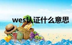 wes认证什么意思（什么是WES认证）