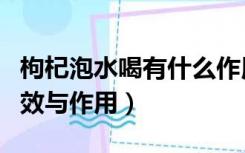 枸杞泡水喝有什么作用（枸杞大枣泡水喝的功效与作用）