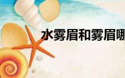 水雾眉和雾眉哪个好（水雾眉）