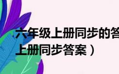 六年级上册同步的答案人教版2020（6年级上册同步答案）