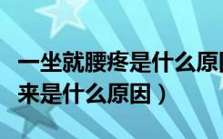 一坐就腰疼是什么原因（坐久了腰疼痛直不起来是什么原因）