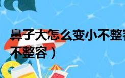 鼻子大怎么变小不整容图片（鼻子大怎么变小不整容）