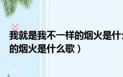 我就是我不一样的烟火是什么歌的歌词（我就是我是不一样的烟火是什么歌）