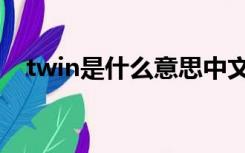 twin是什么意思中文（twin是什么意思）