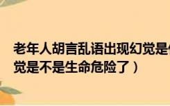 老年人胡言乱语出现幻觉是什么原因（老人胡言乱语产生幻觉是不是生命危险了）