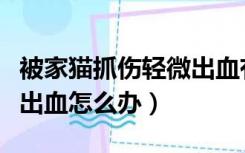 被家猫抓伤轻微出血有事吗（被家猫抓伤轻微出血怎么办）