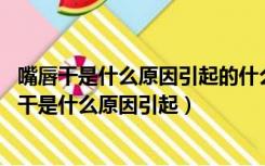 嘴唇干是什么原因引起的什么食物含维生素B2比较多（嘴唇干是什么原因引起）