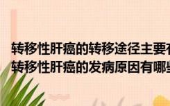 转移性肝癌的转移途径主要有哪些（转移性肝癌是怎么回事 转移性肝癌的发病原因有哪些）