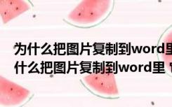 为什么把图片复制到word里 它以前的顺序就变乱了呢（为什么把图片复制到word里 它以前的顺序就变乱了）