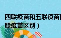 四联疫苗和五联疫苗区别价格（四联疫苗和五联疫苗区别）