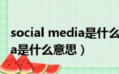 social media是什么意思英语（social media是什么意思）