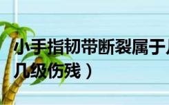 小手指韧带断裂属于几级伤残（韧带断裂属于几级伤残）