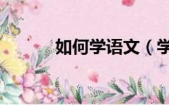 如何学语文（学习语文的好处）