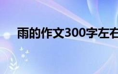 雨的作文300字左右（雨的作文300字）