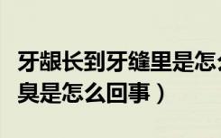 牙龈长到牙缝里是怎么回事（牙缝里的东西很臭是怎么回事）