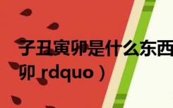 子丑寅卯是什么东西（什么是 ldquo 子丑寅卯 rdquo）