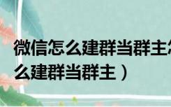 微信怎么建群当群主怎么设置管理员（微信怎么建群当群主）