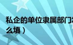 私企的单位隶属部门怎么填（私企单位隶属怎么填）