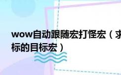 wow自动跟随宏打怪宏（求魔兽世界跟随目标 自动攻击目标的目标宏）