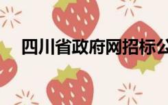 四川省政府网招标公告（四川省政府网）