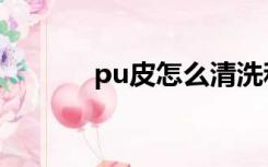 pu皮怎么清洗和保养（pu皮）