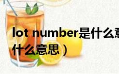 lot number是什么意思中文翻译（lot no是什么意思）