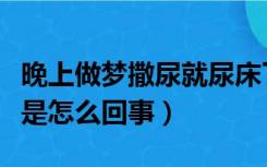 晚上做梦撒尿就尿床了是什么原因（大人尿床是怎么回事）