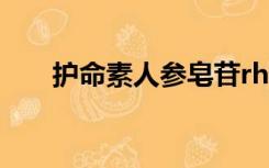 护命素人参皂苷rh2多少钱（护命素）