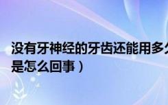 没有牙神经的牙齿还能用多久（牙神经疼的原因 牙齿神经痛是怎么回事）