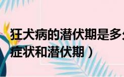 狂犬病的潜伏期是多久有什么症状（月痨病的症状和潜伏期）