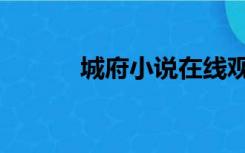 城府小说在线观看（城府小说）