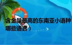 含金量最高的东南亚小语种（请问东南亚小语种详细分类是哪些语言）