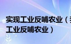 实现工业反哺农业（我们采取一系列举措推动工业反哺农业）