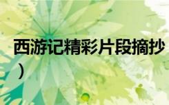 西游记精彩片段摘抄（西游记精彩片段及赏析）